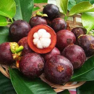 Garcinia-Mangostana fruit extract