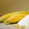 maize extracts bionut products